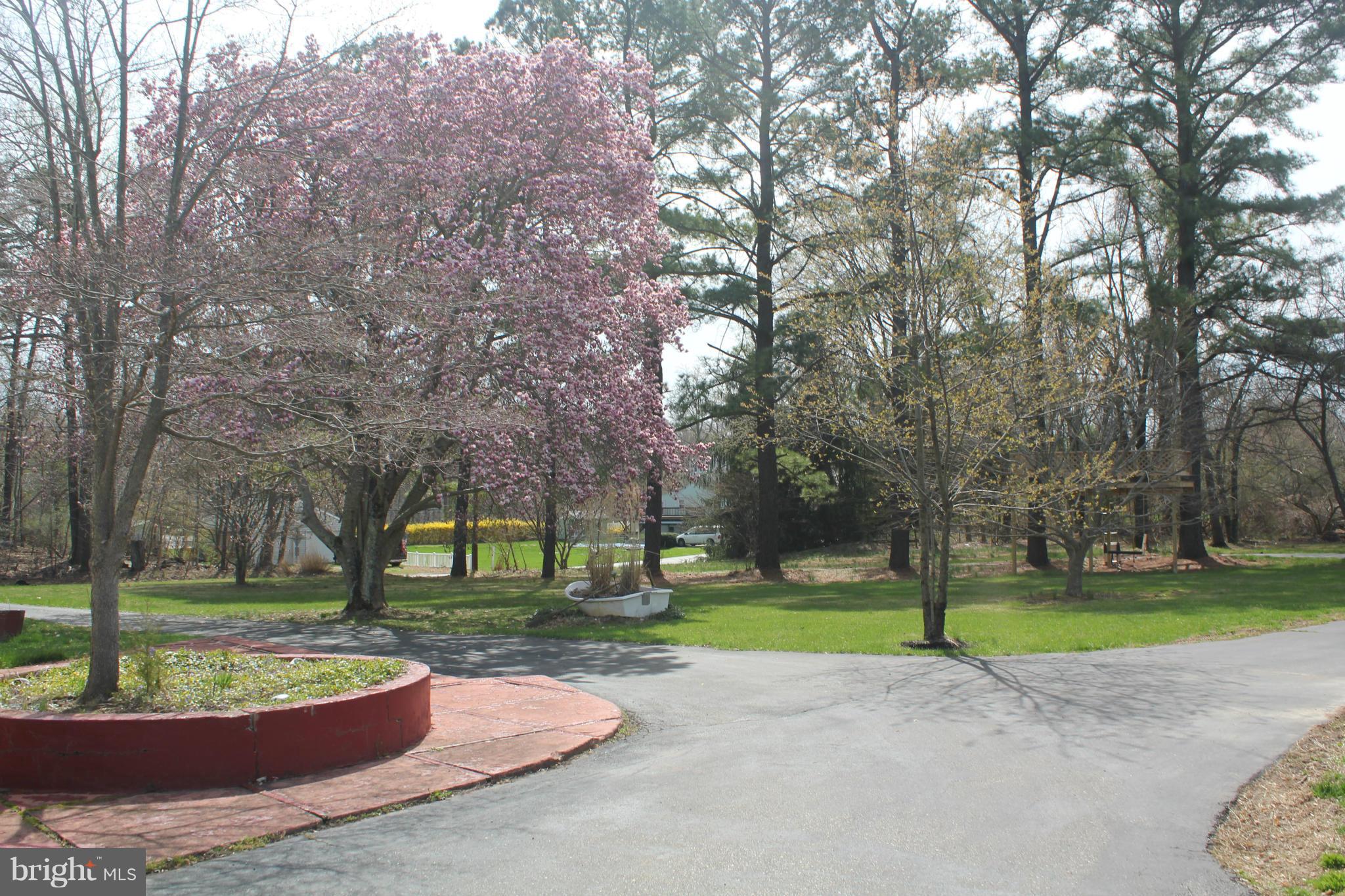 1384 Fairfield Loop Road Crownsville, MD 21032 - Photo 6 of 30 Circular Driveway with Mature Trees