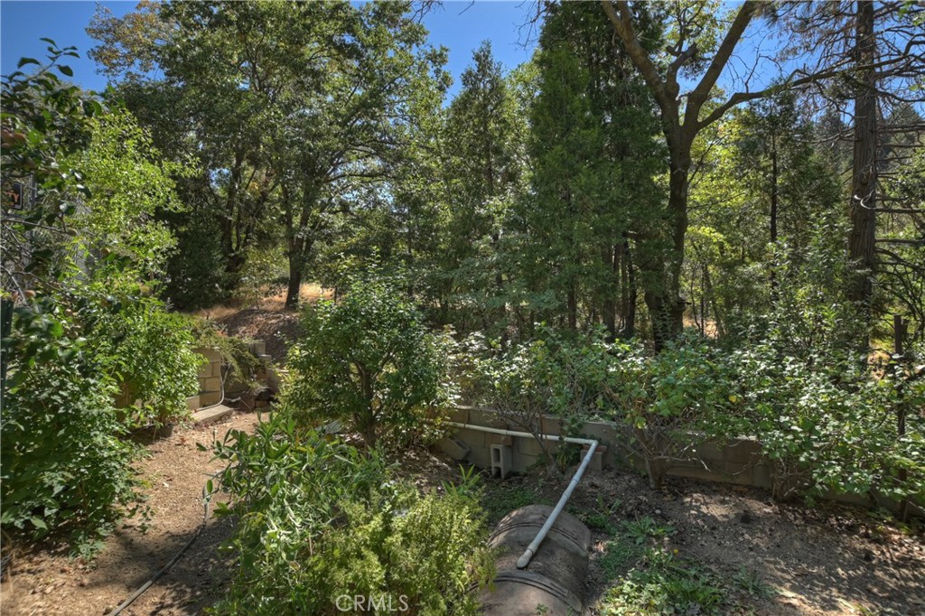 23167 Brookside Road Crestline, CA 92325 - Photo 38 of 49 a view of forest