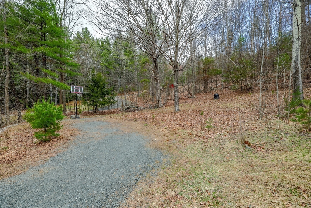 118 North Leverett Road Leverett, MA 01054 - Photo 23 of 26 a view of a forest with trees in the background