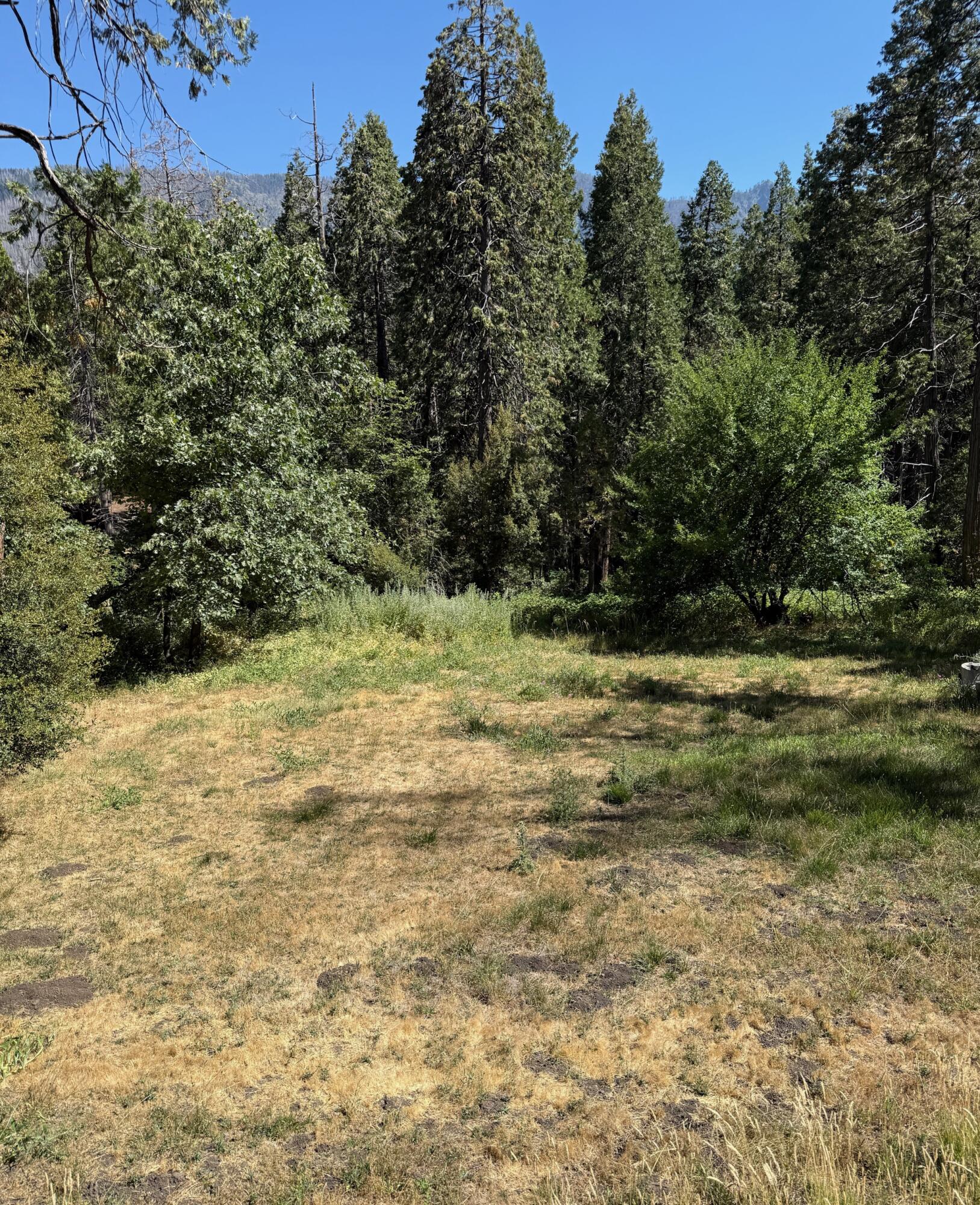 657 Loop Drive Springville, CA 93265 - Photo 17 of 20 IMG_4358
