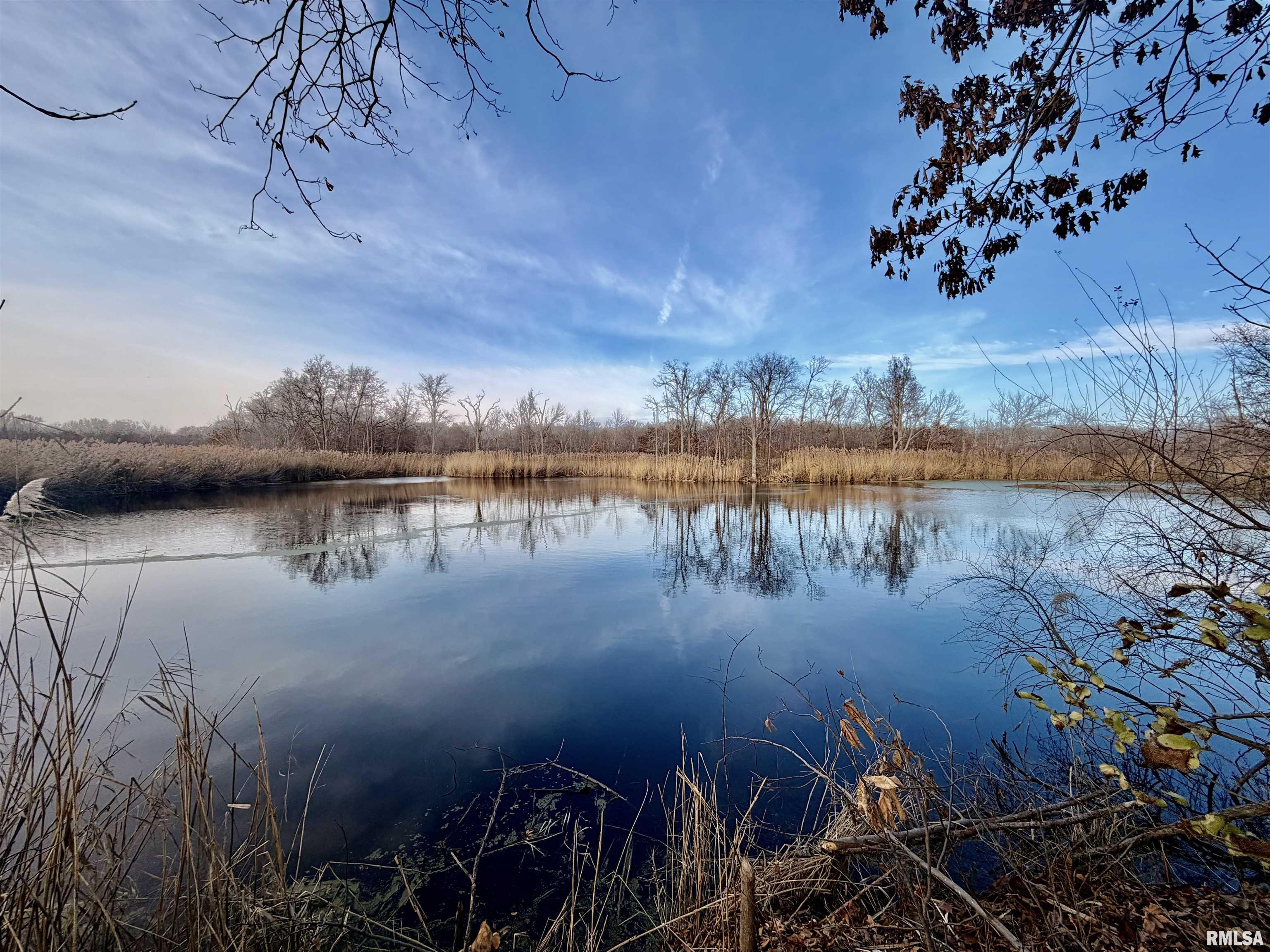 421 Jeff Road Centralia, IL 62801 - Photo 4 of 9