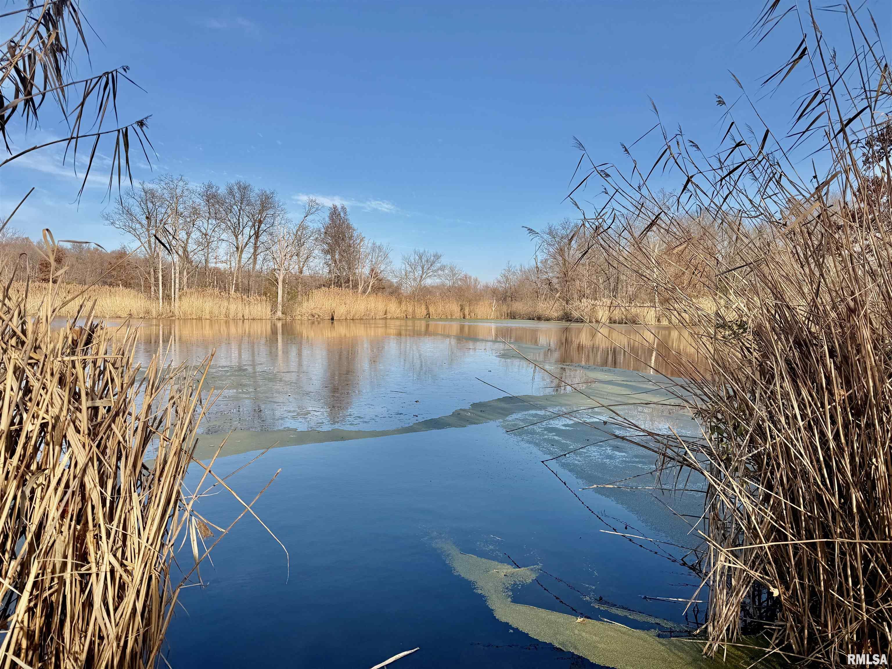 421 Jeff Road Centralia, IL 62801 - Photo 5 of 9