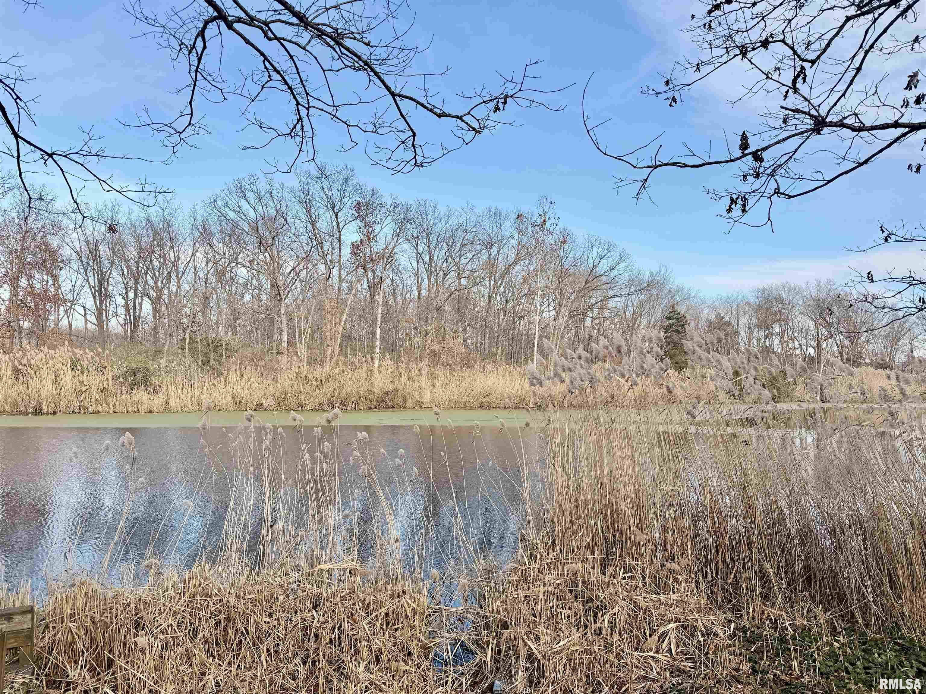 421 Jeff Road Centralia, IL 62801 - Photo 7 of 9