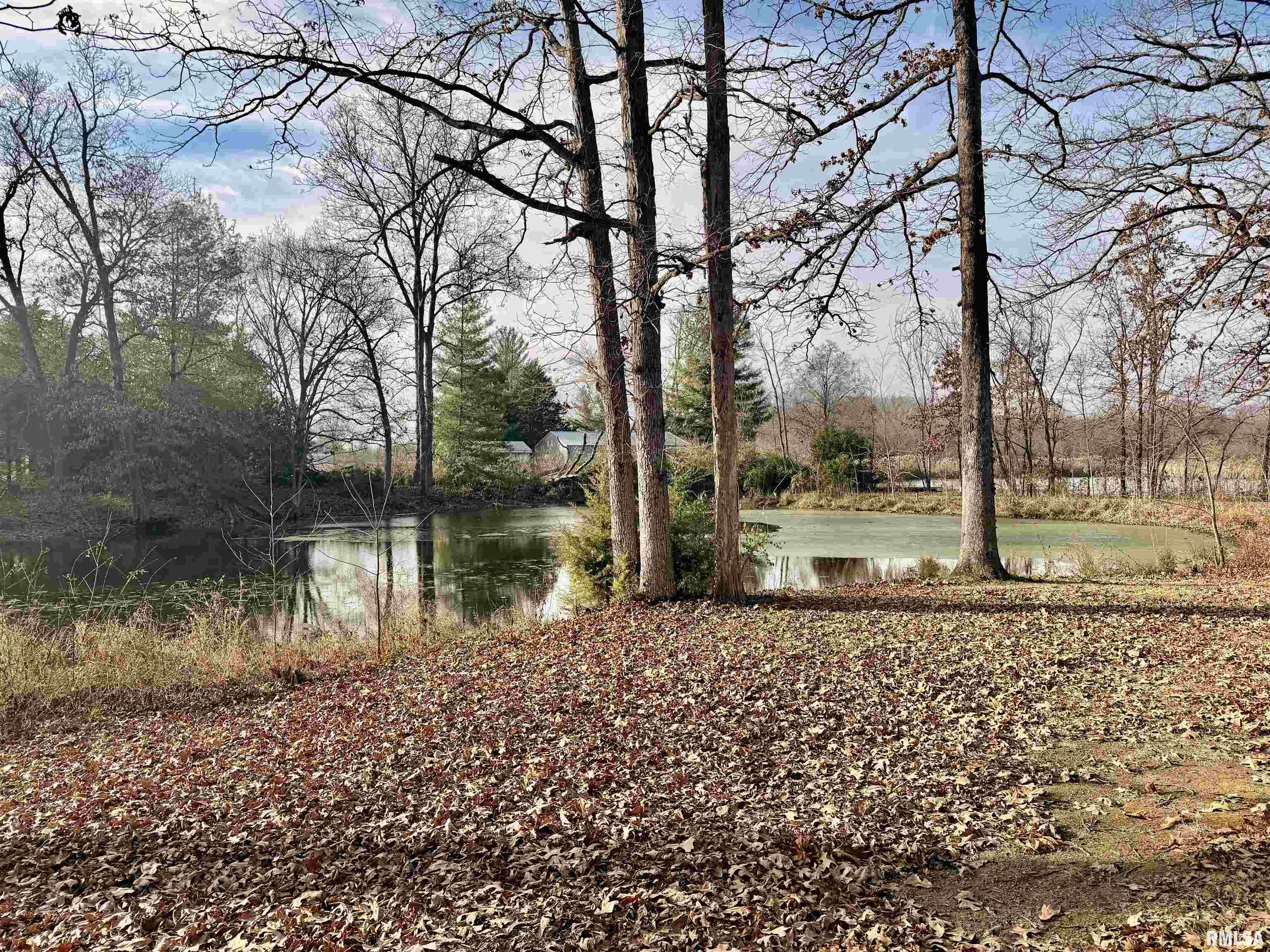 421 Jeff Road Centralia, IL 62801 - Photo 9 of 9