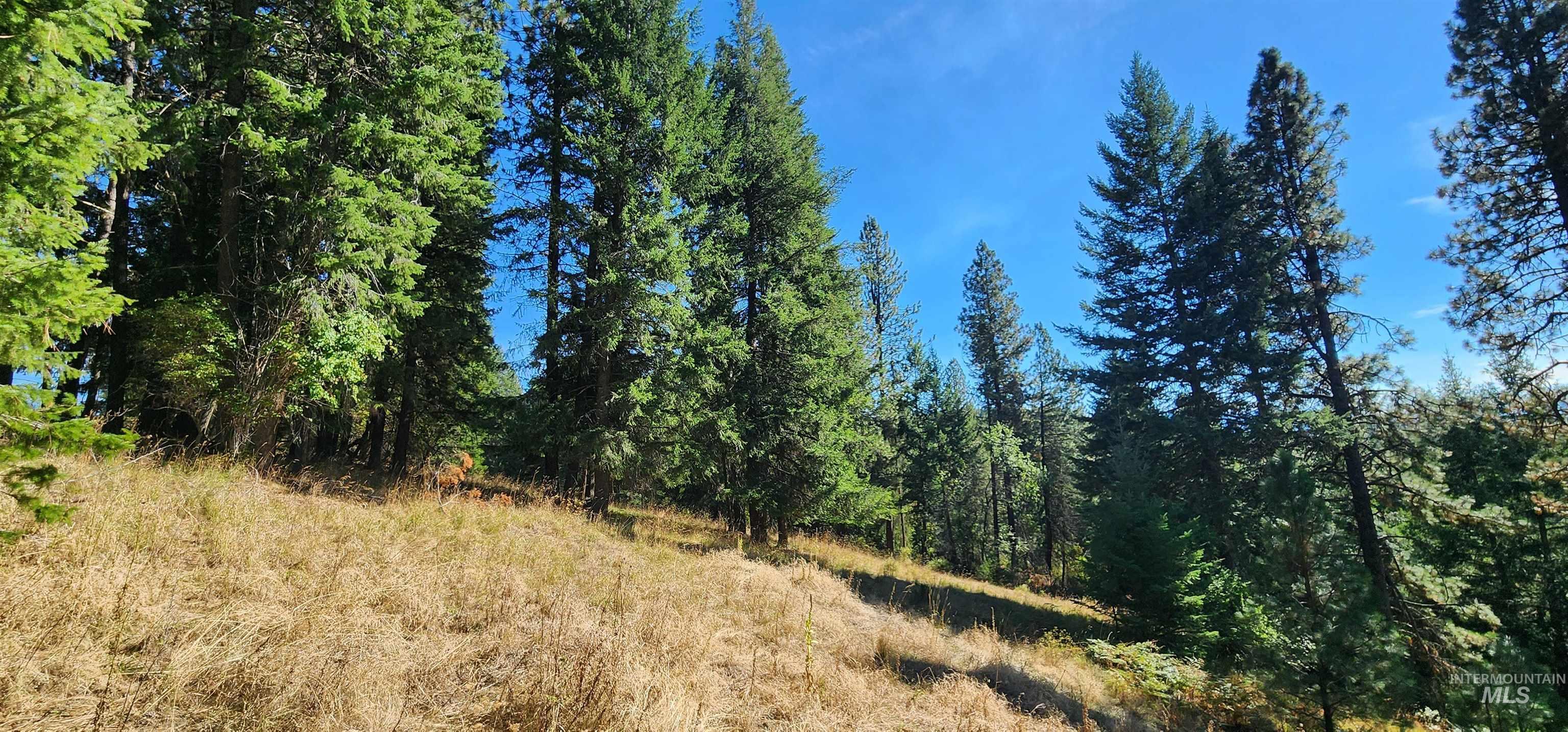 Tbd Red Fir Road Kooskia, ID 83539 - Photo 15 of 34