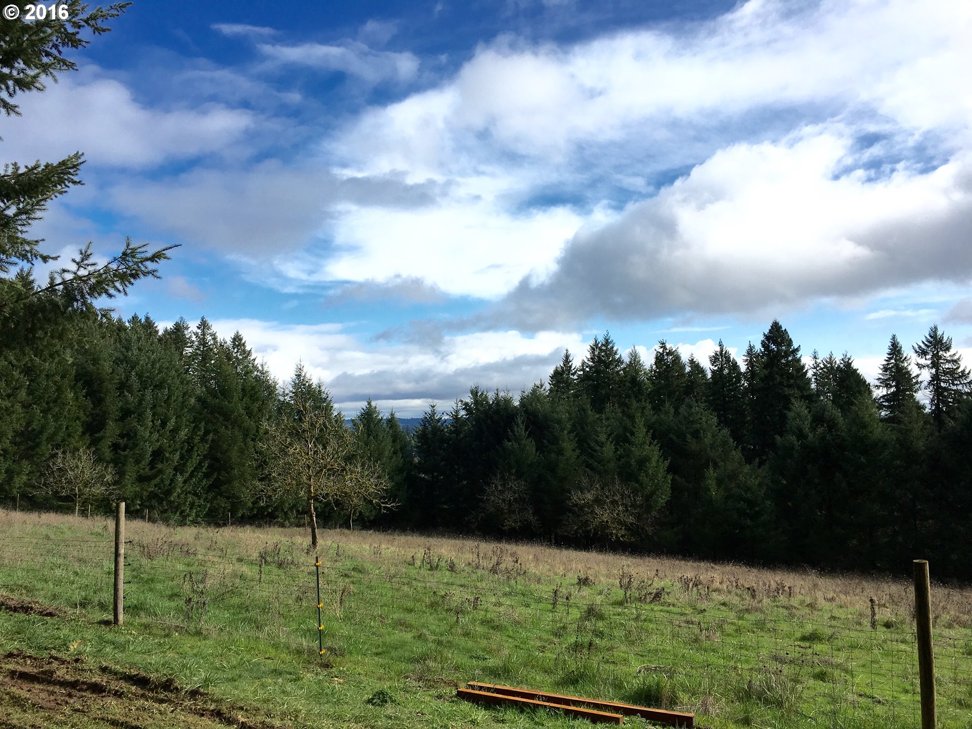 17640 Southwest Neugebauer Road Hillsboro, OR 97123 - Photo 29 of 30 a view of an outdoor space and yard
