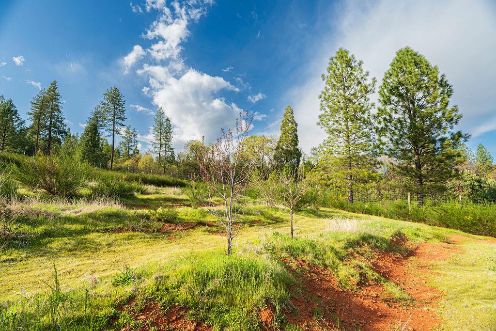 10571 Sebastopol Road North San Juan, CA 95960 - Photo 2 of 34 Gallery Image 2