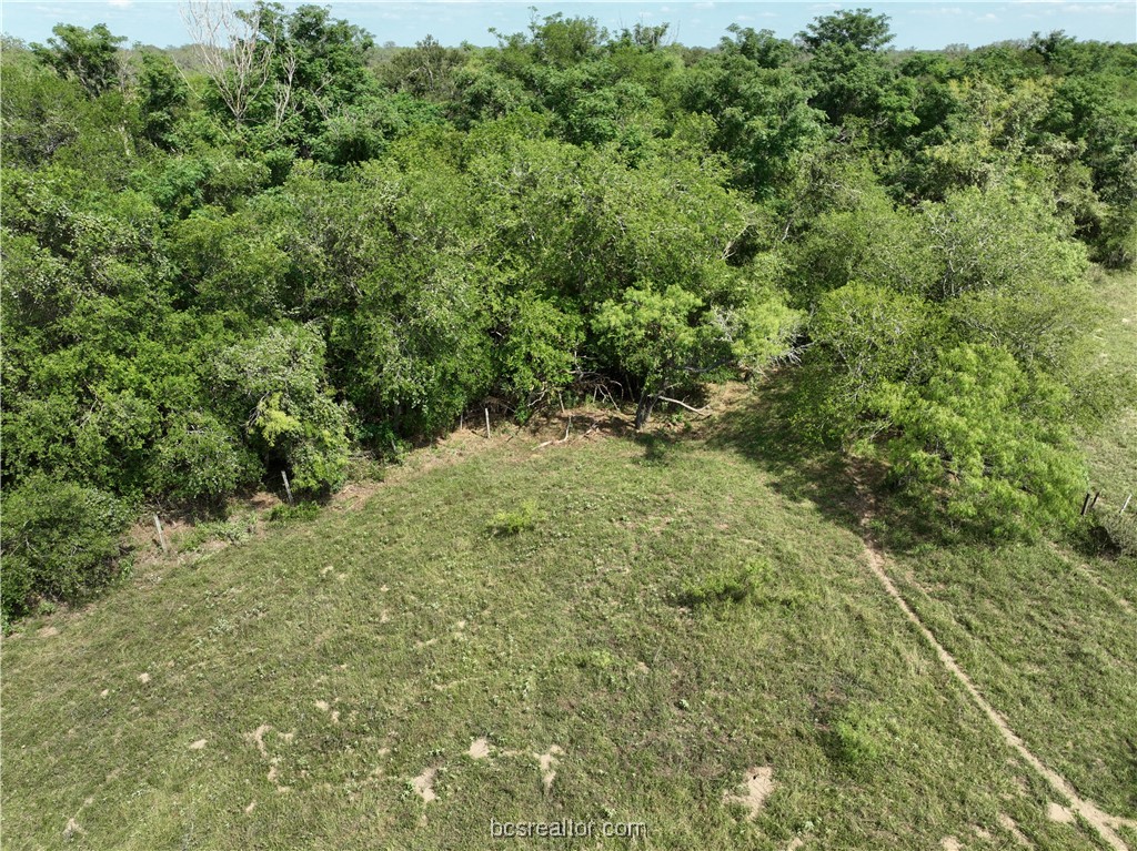 1 Lozano Road Poteet, TX 78065 - Photo 5 of 7 Gallery Image 5
