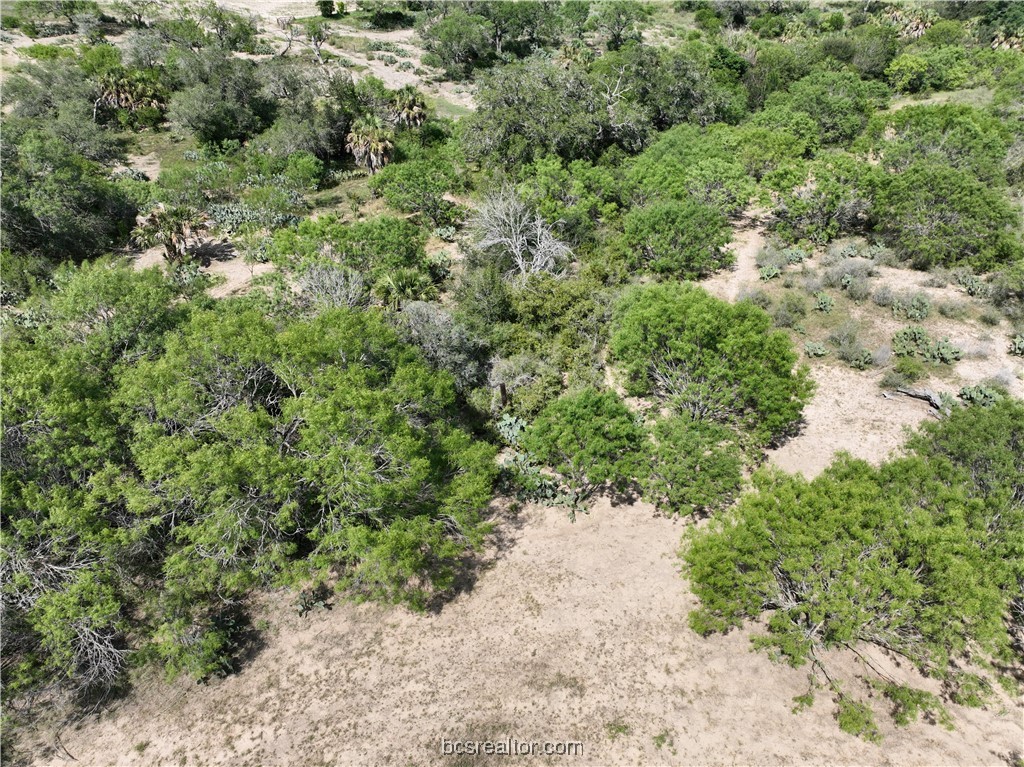 1 Lozano Road Poteet, TX 78065 - Photo 6 of 7 Gallery Image 6