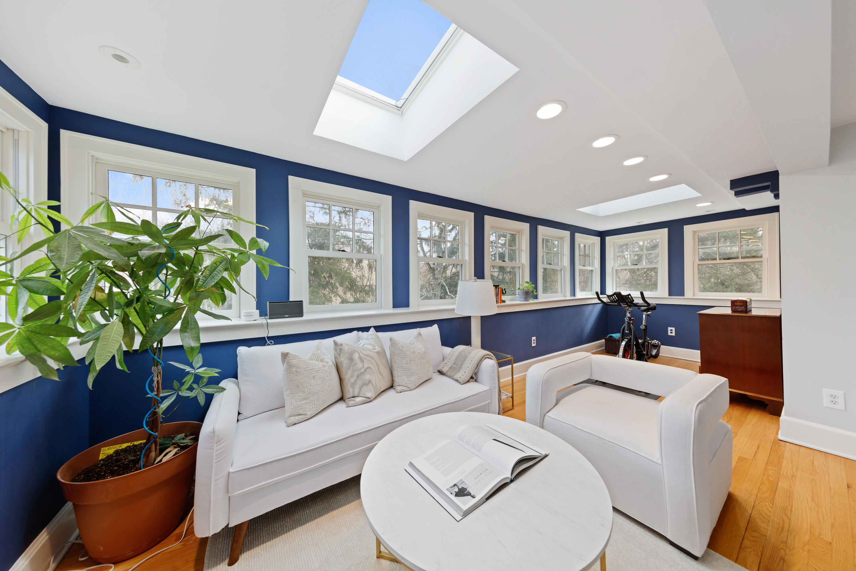 121 Middlesex Road Darien, CT 06820 - Photo 22 of 34 a living room with furniture and a potted plant