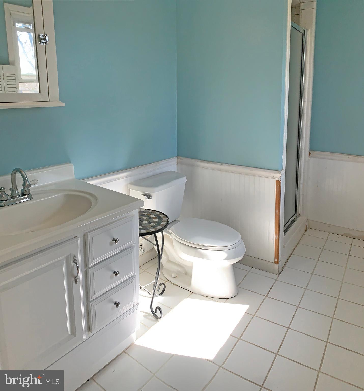 44 Gale Road Camp Hill, PA 17011 - Photo 21 of 40 Master Bath With Walk-in Shower
