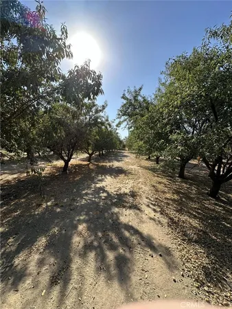 a view of outdoor space with trees all around