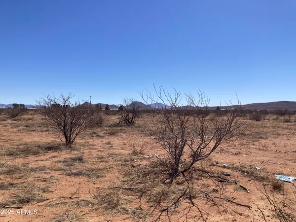 a view of a dry yard with trees in the background