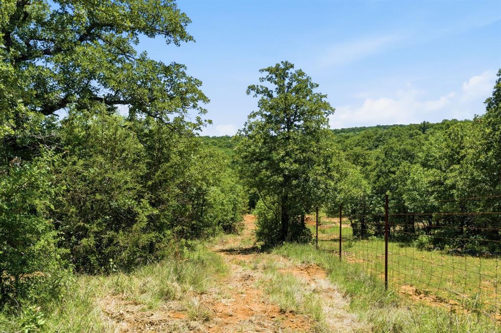 4320 Dobbs Valley Road Millsap, TX 76066 - Photo 11 of 40 a view of yard