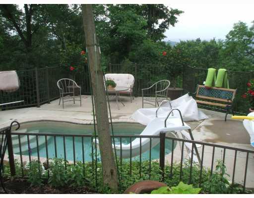 401 Bells Lake Road Prosperity, PA 15329 - Photo 10 of 15 Swimming Pool/Hot Tub/Sauna.