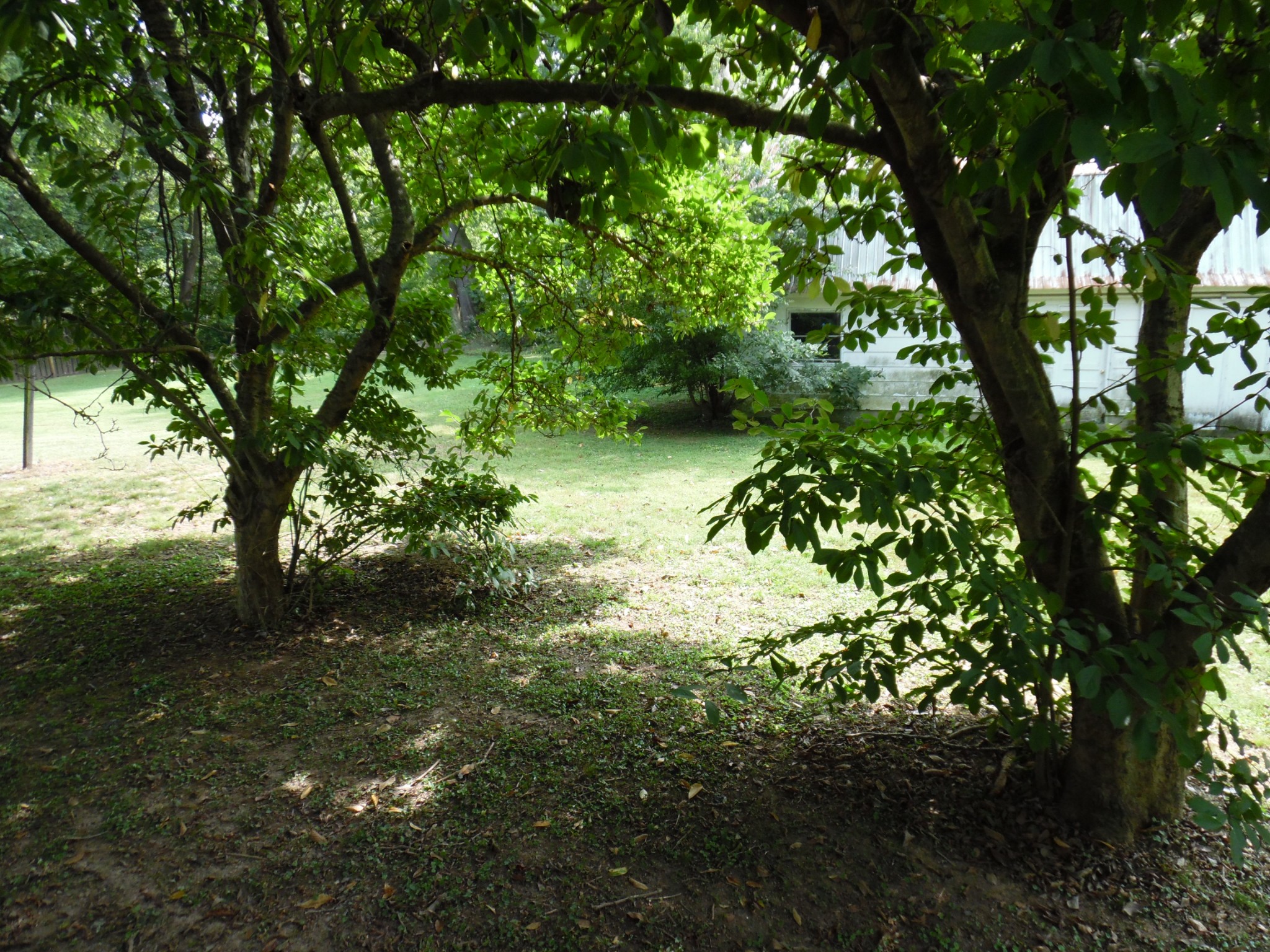 216 Winters Street Adams, TN 37010 - Photo 16 of 16