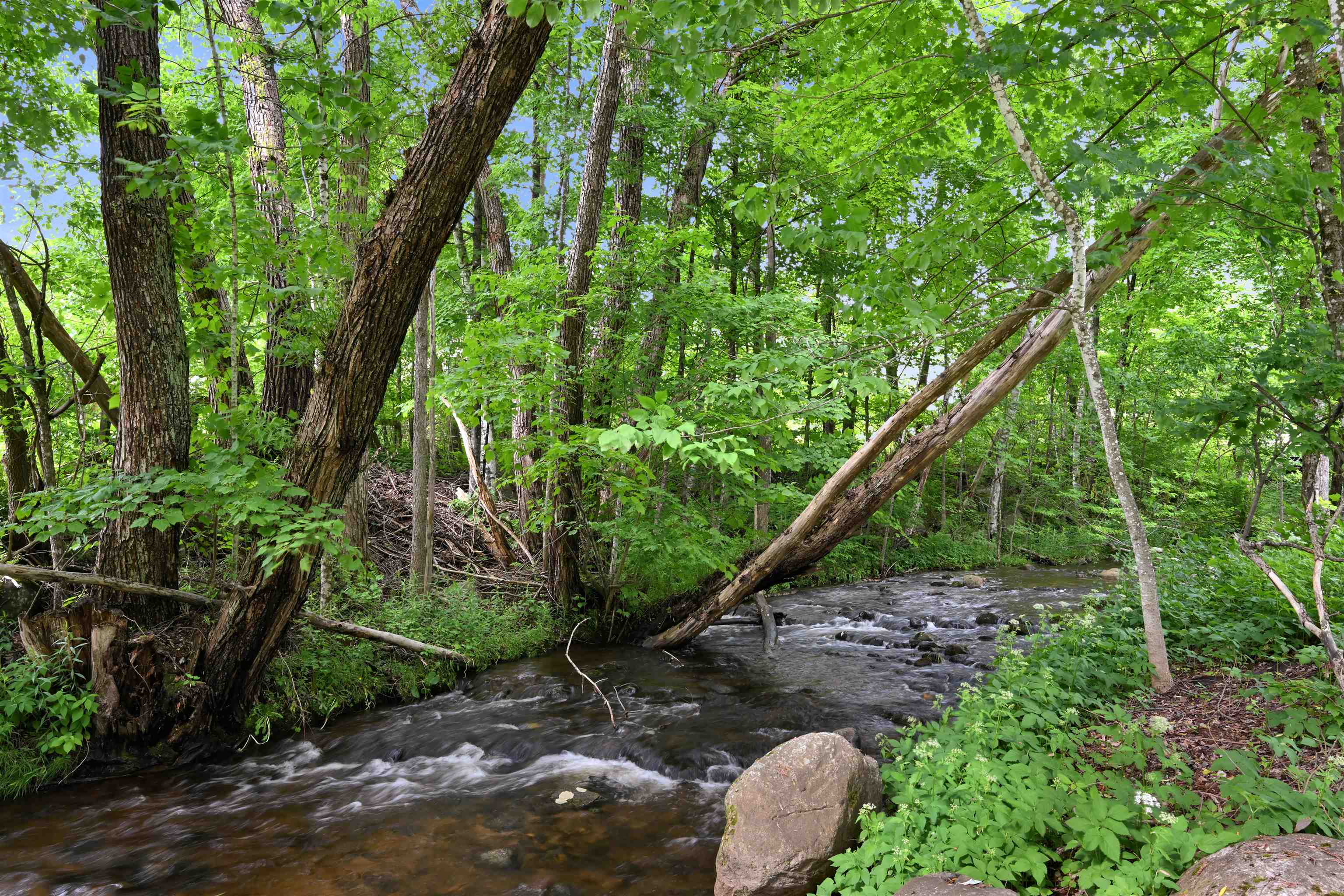 275 Chittenden Road Chittenden, VT 05737 - Photo 44 of 60