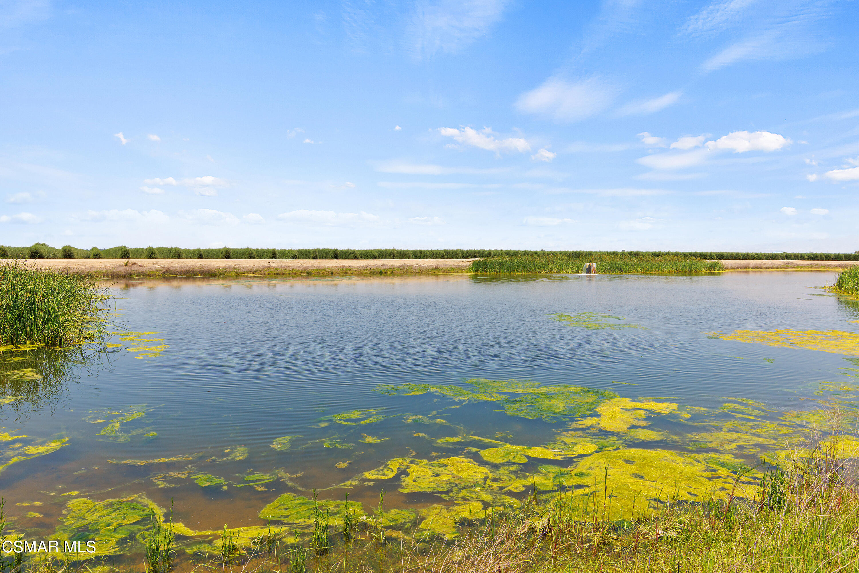 Millux Road Arvin, CA 93203 - Photo 5 of 10 a view of an ocean and beach