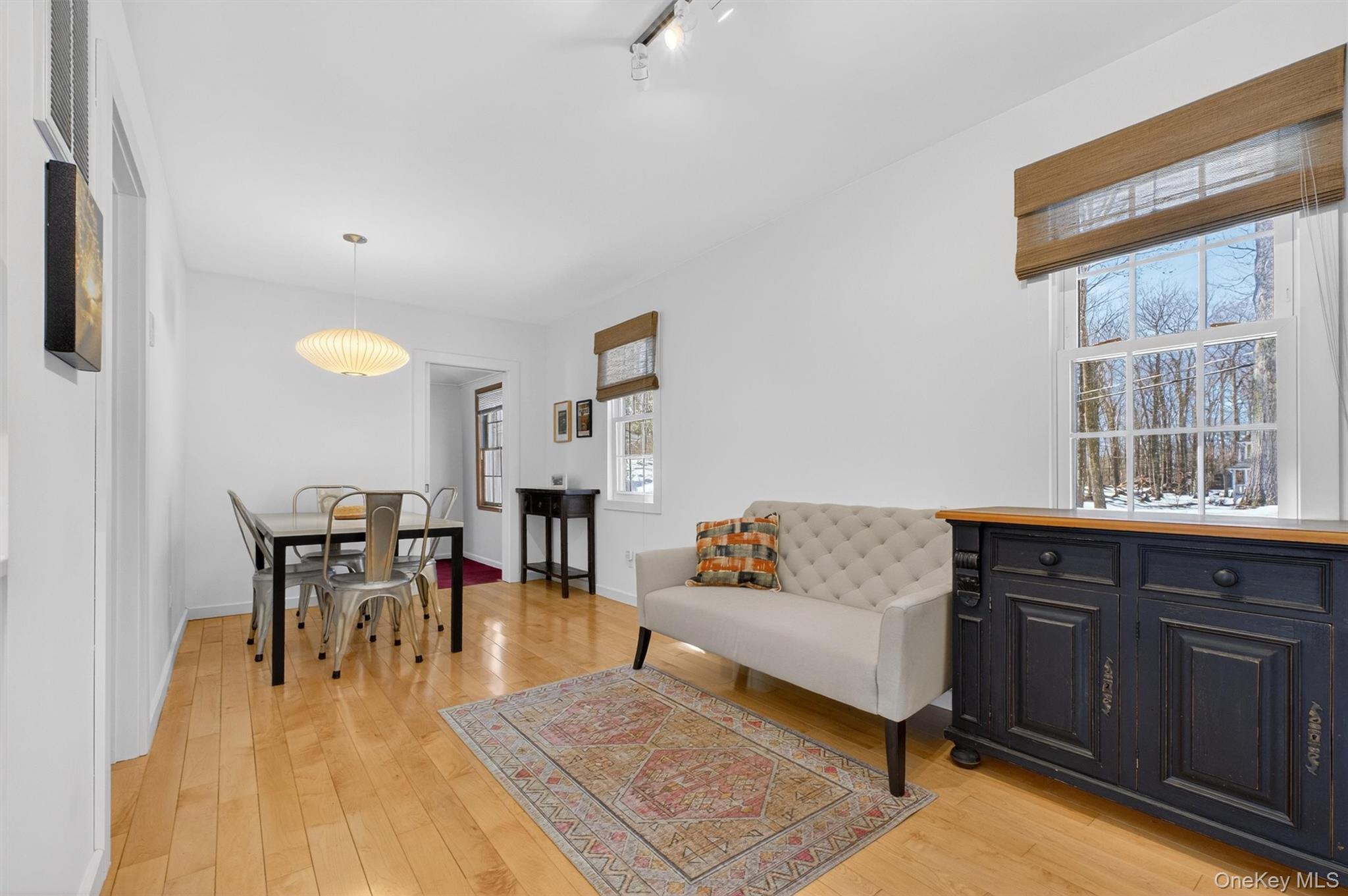 208 Ressique Road Carmel, NY 10512 - Photo 14 of 40 Open / airy, bright space