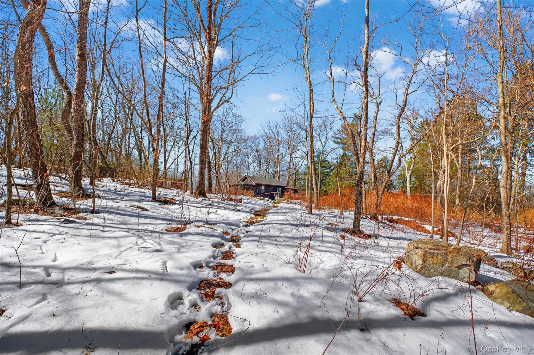 208 Ressique Road Carmel, NY 10512 - Photo 31 of 40 Beautiful serene property