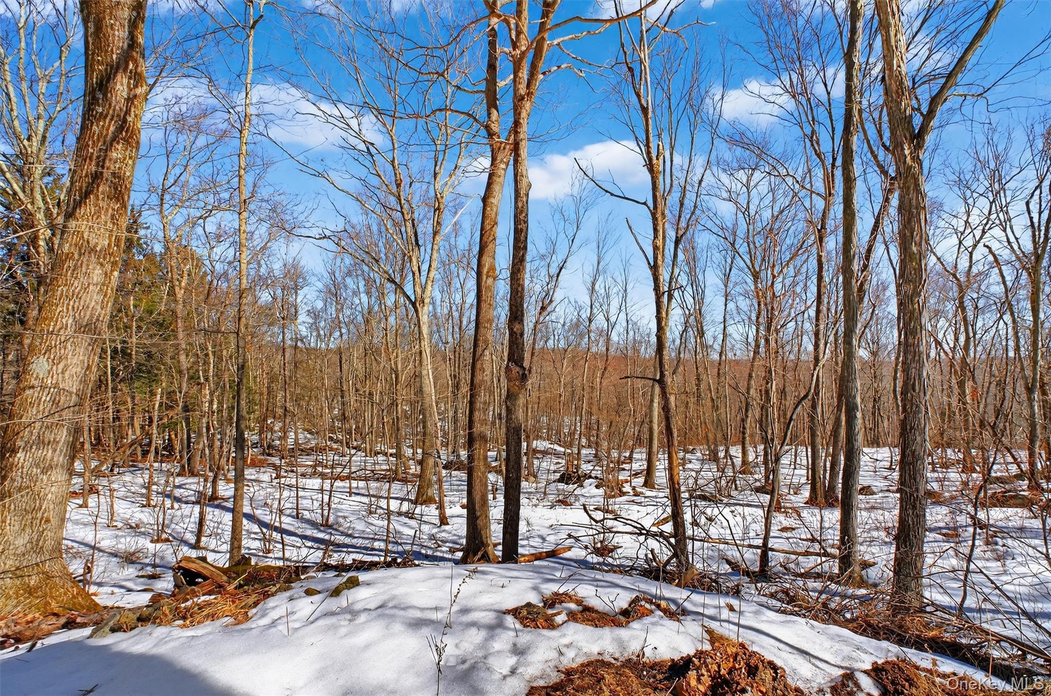 208 Ressique Road Carmel, NY 10512 - Photo 32 of 40