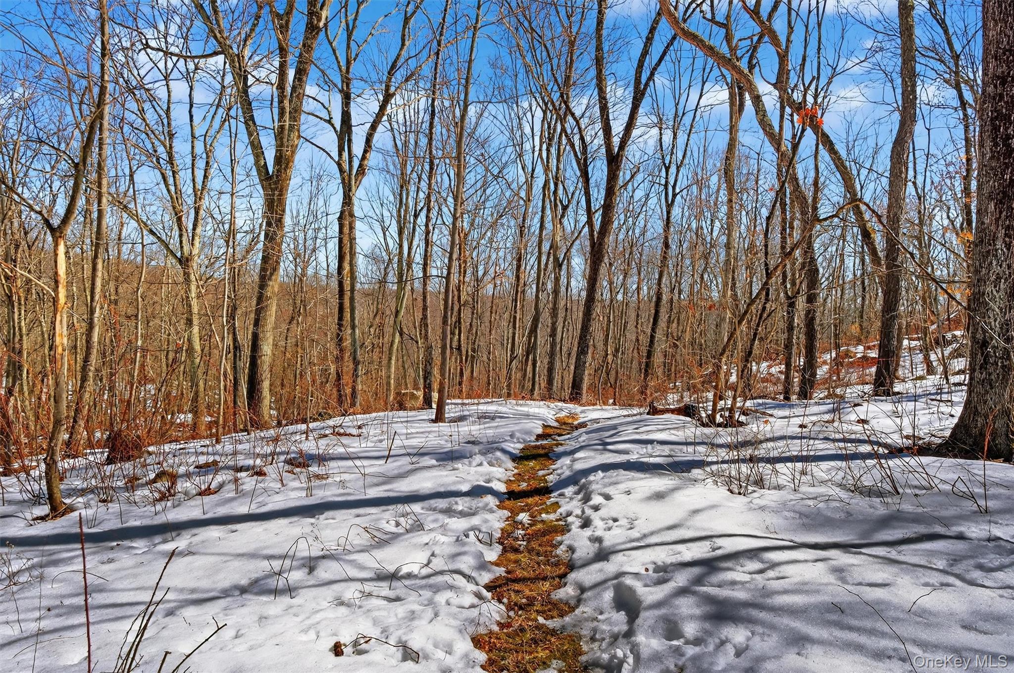 208 Ressique Road Carmel, NY 10512 - Photo 33 of 40