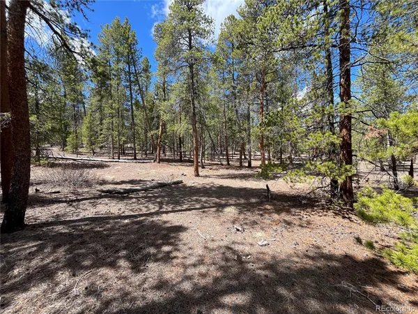 a view of dirt yard with a trees