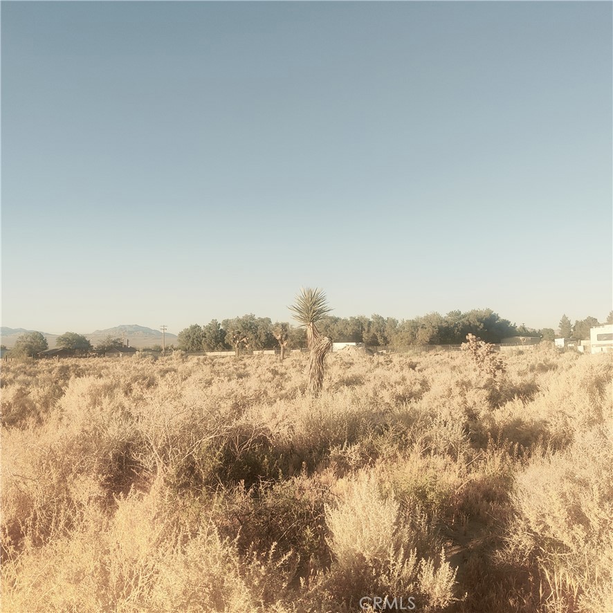 0 Haven Rest Lucerne Valley, CA 92356 - Photo 4 of 6 a view of mountain view and mountain