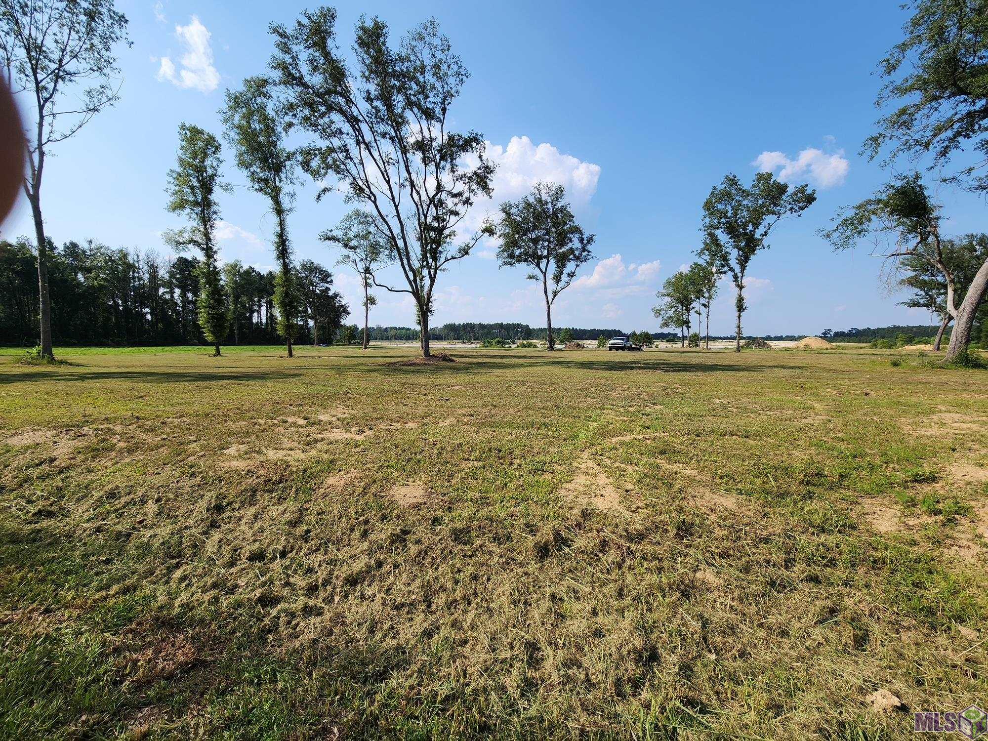 3390 Nesom Road Denham Springs, LA 70706 - Photo 1 of 3