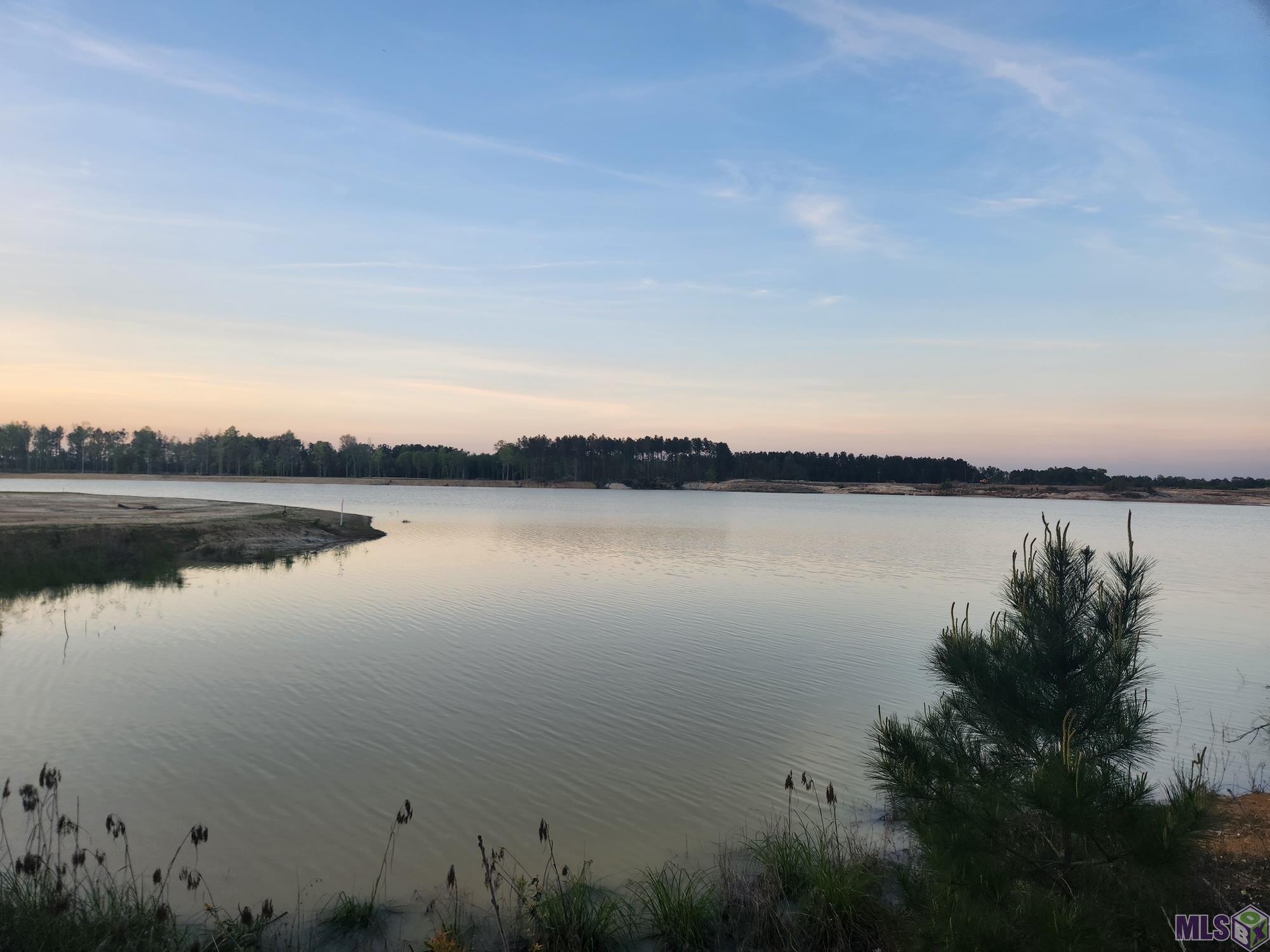 3390 Nesom Road Denham Springs, LA 70706 - Photo 2 of 3