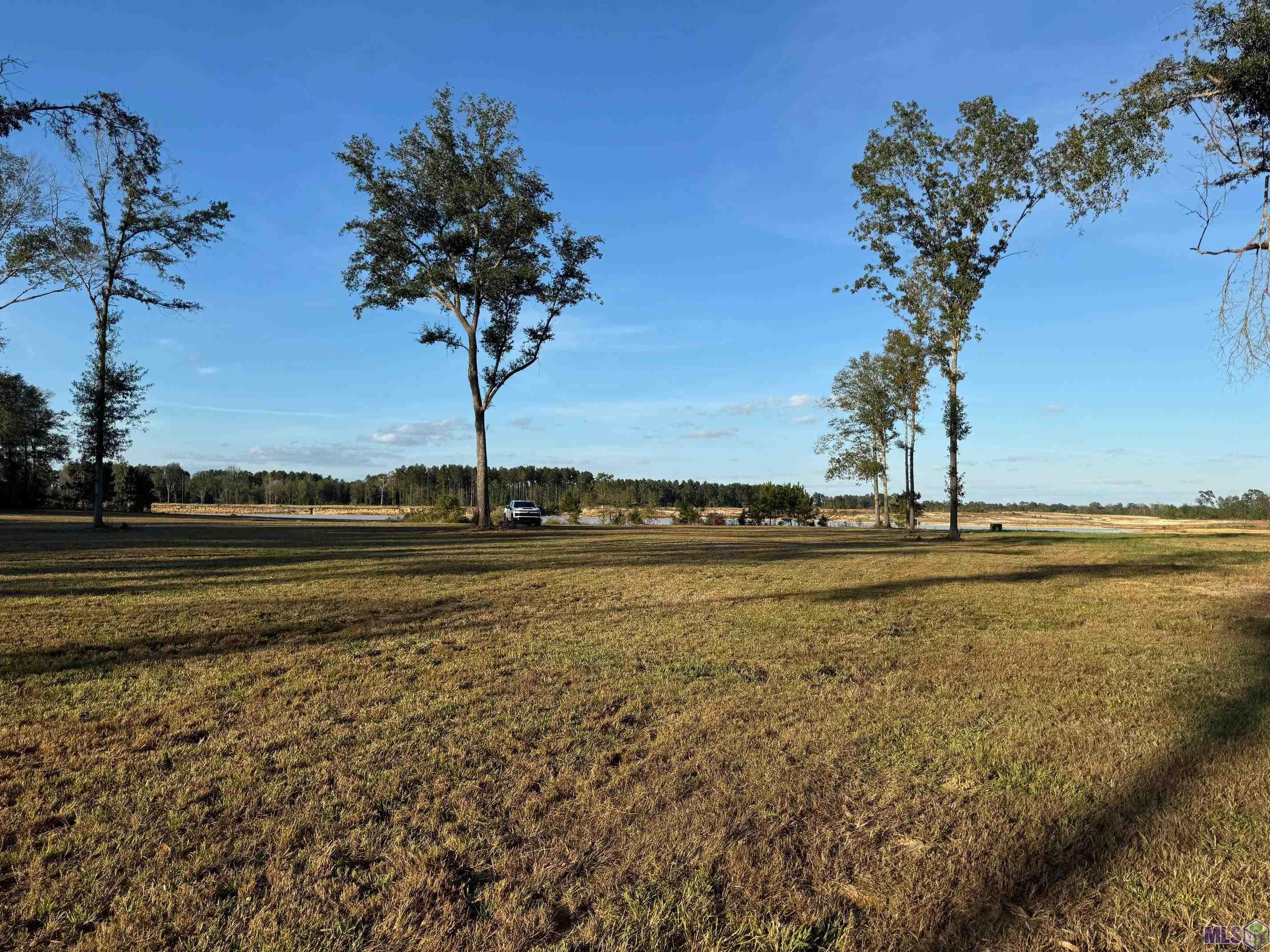 3390 Nesom Road Denham Springs, LA 70706 - Photo 3 of 3