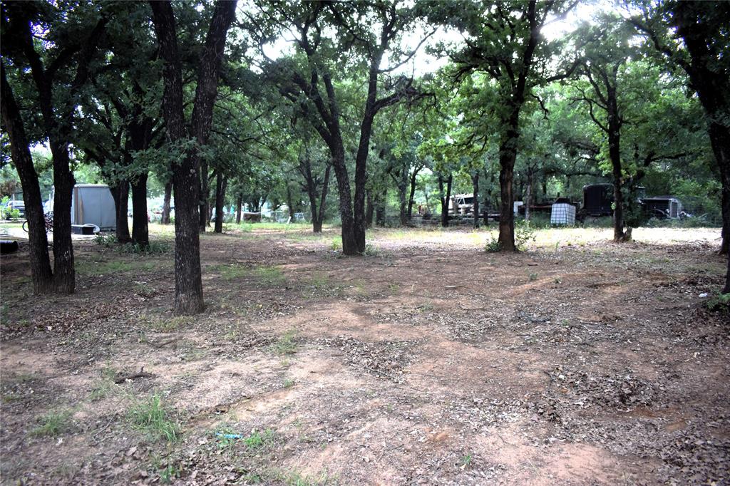 4550 Dick Price Road Fort Worth, TX 76140 - Photo 18 of 21 a view of a tree in the middle of a yard