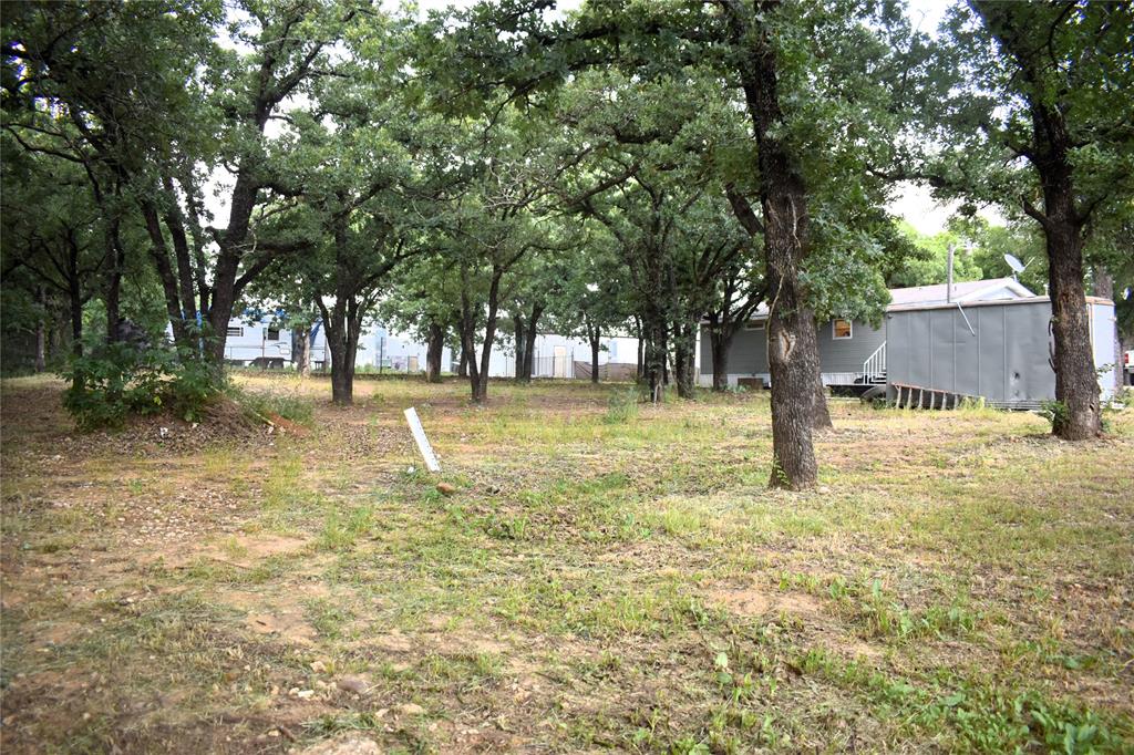 4550 Dick Price Road Fort Worth, TX 76140 - Photo 21 of 21 a tall tree in middle of the yard