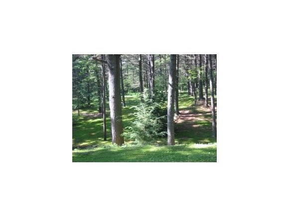 58-5 Higgins Road Chichester, NH 03234 - Photo 1 of 1