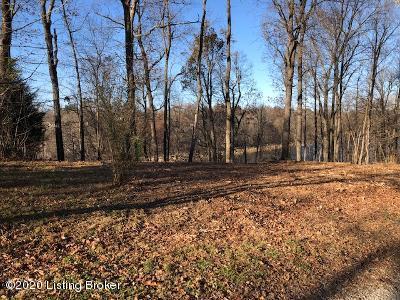227 Indian Ridge Road Falls Of Rough, KY 40119 - Photo 1 of 8 flat building site