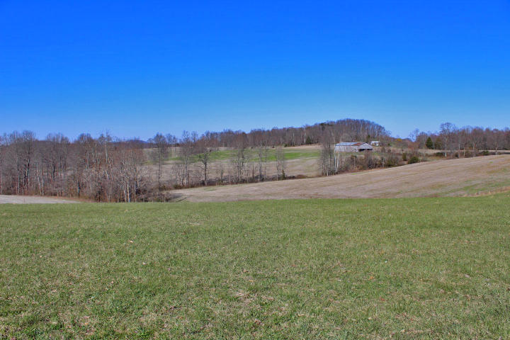 3624 Vaught Ridge Road Bethelridge, KY 42516 - Photo 27 of 31 IMG_6449