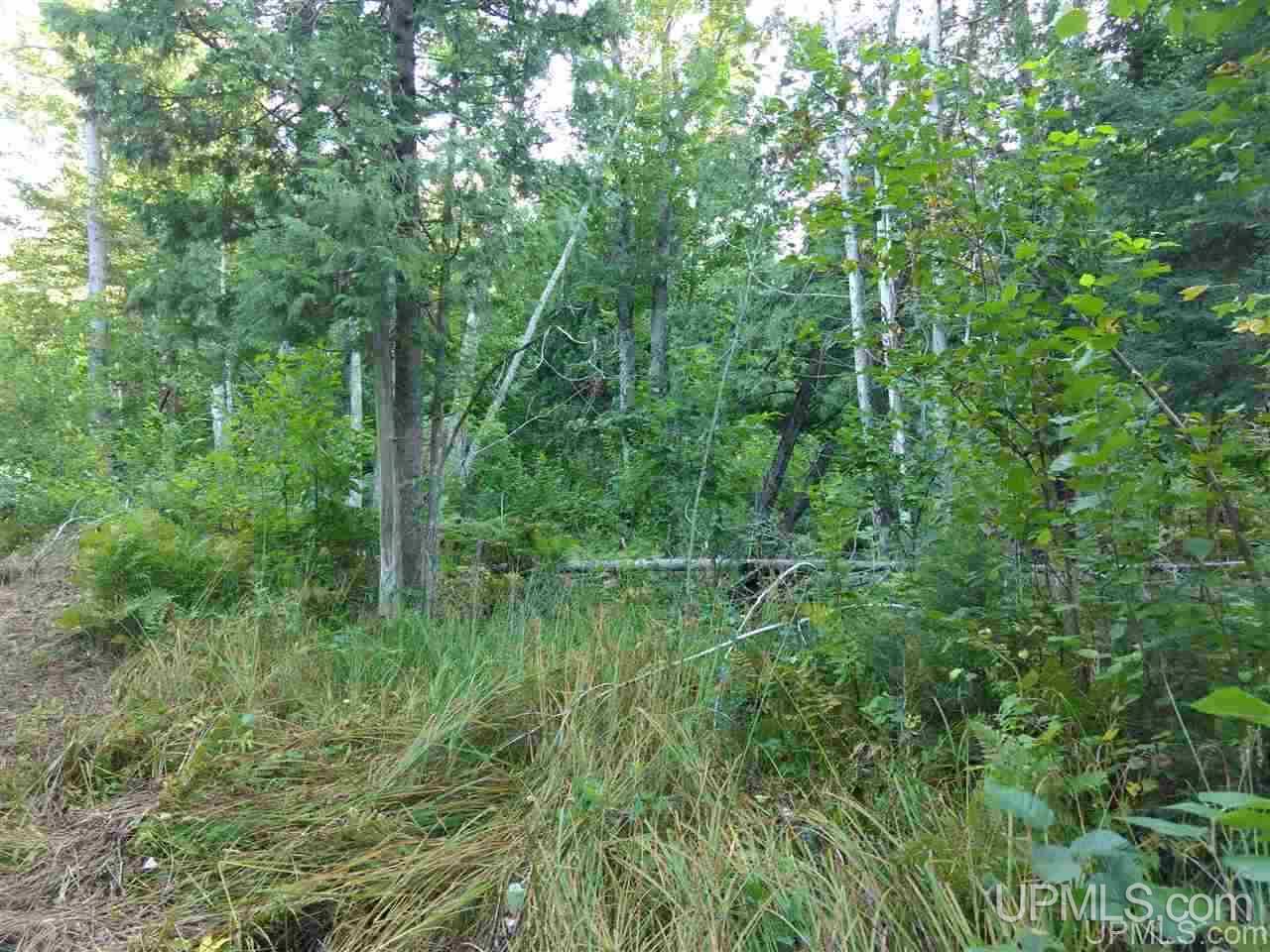 Tbd Sandstone B Road Lake Linden, MI 49945 - Photo 32 of 50