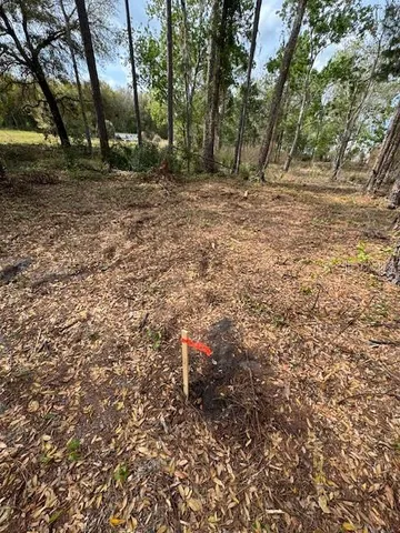a view of a yard with plants and trees