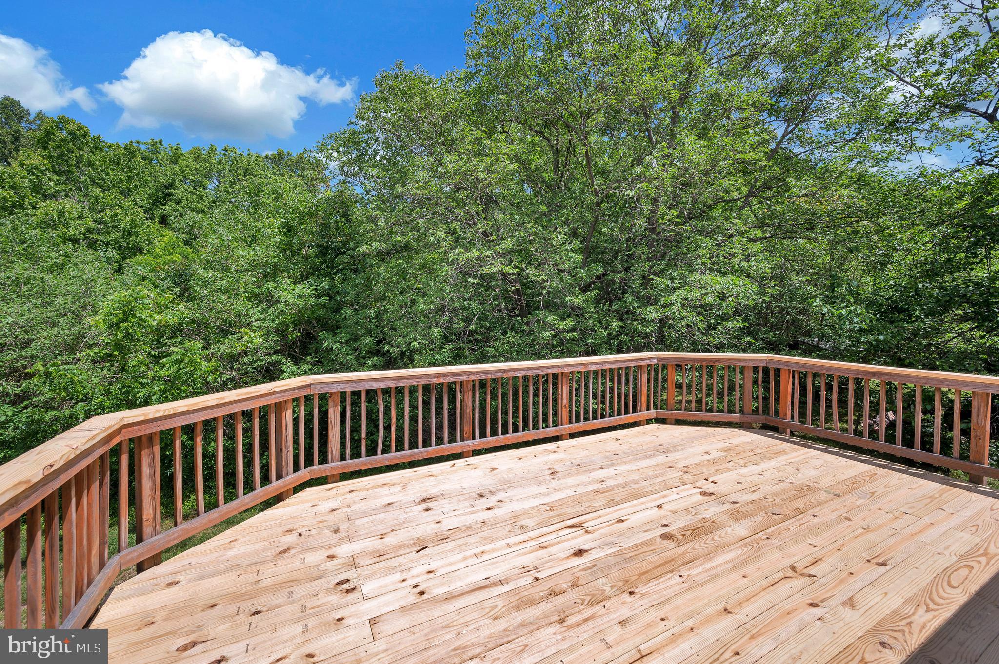 16085 Ridge Road King George, VA 22485 - Photo 42 of 49