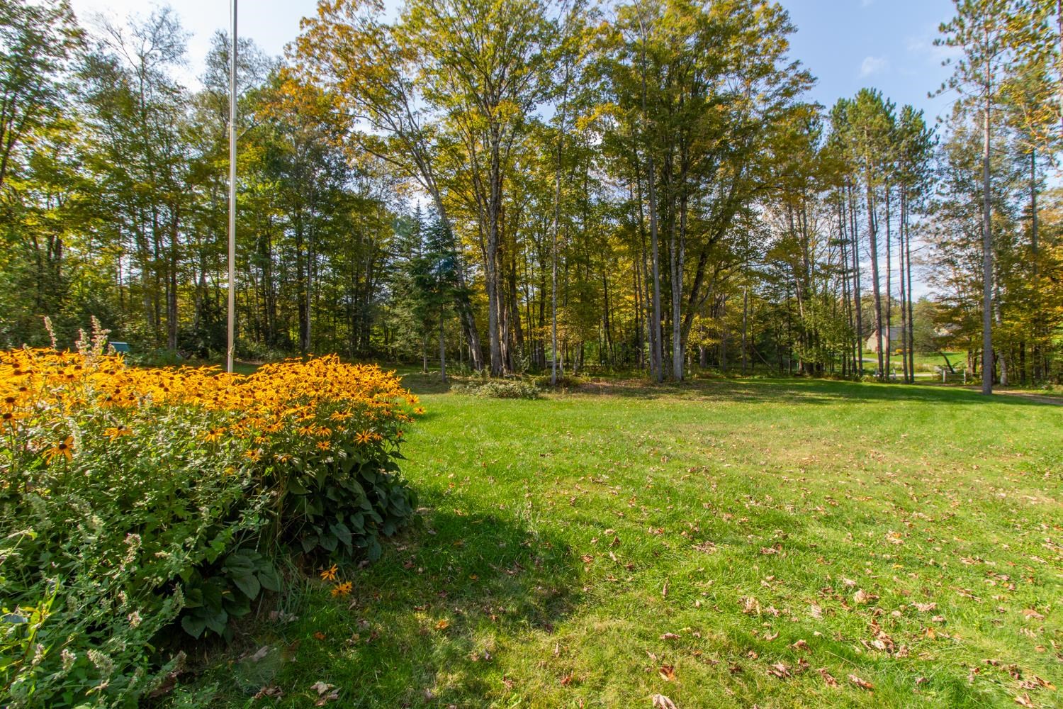 358 Nygrens Road Sutton, VT 05871 - Photo 26 of 40