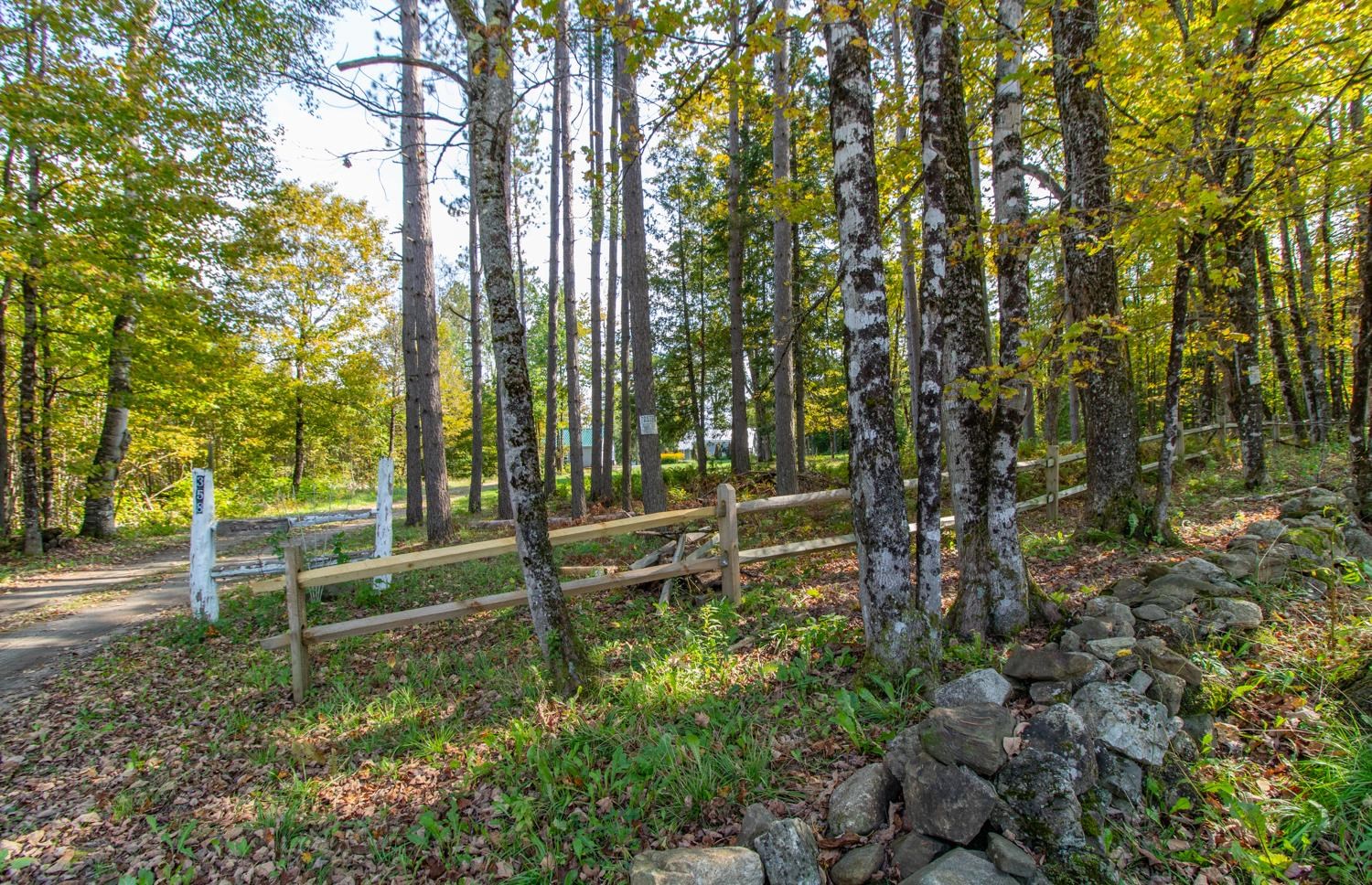 358 Nygrens Road Sutton, VT 05871 - Photo 28 of 40