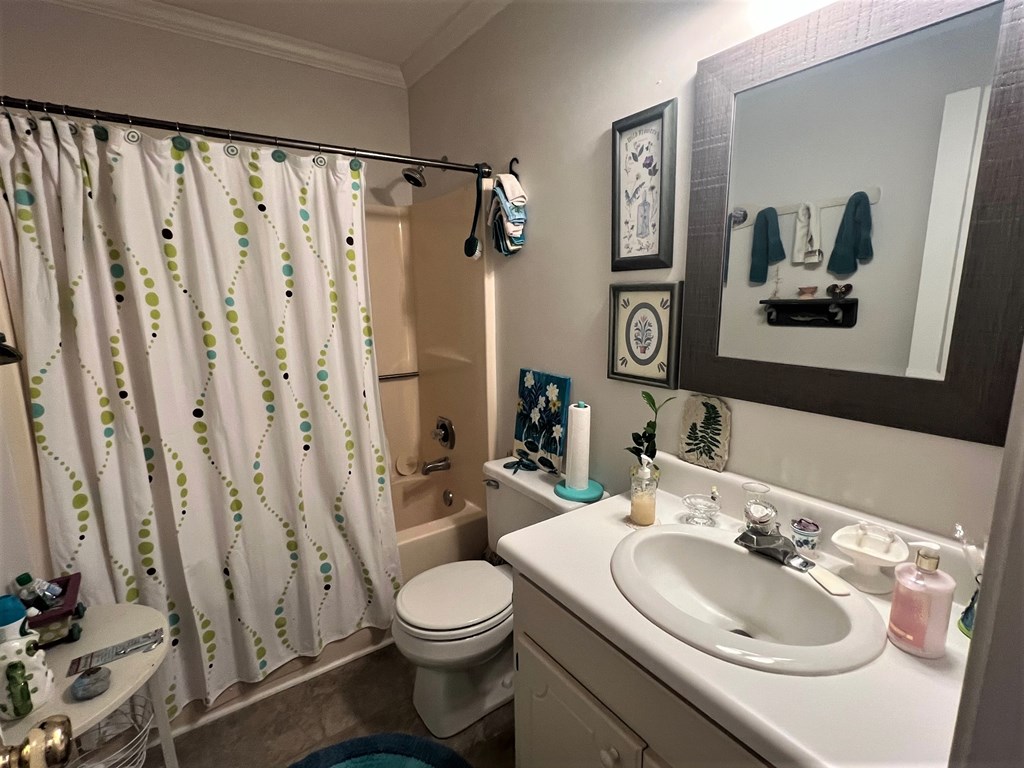 227 Cove Road Greenwood, SC 29646 - Photo 24 of 34 Gallery Image 24