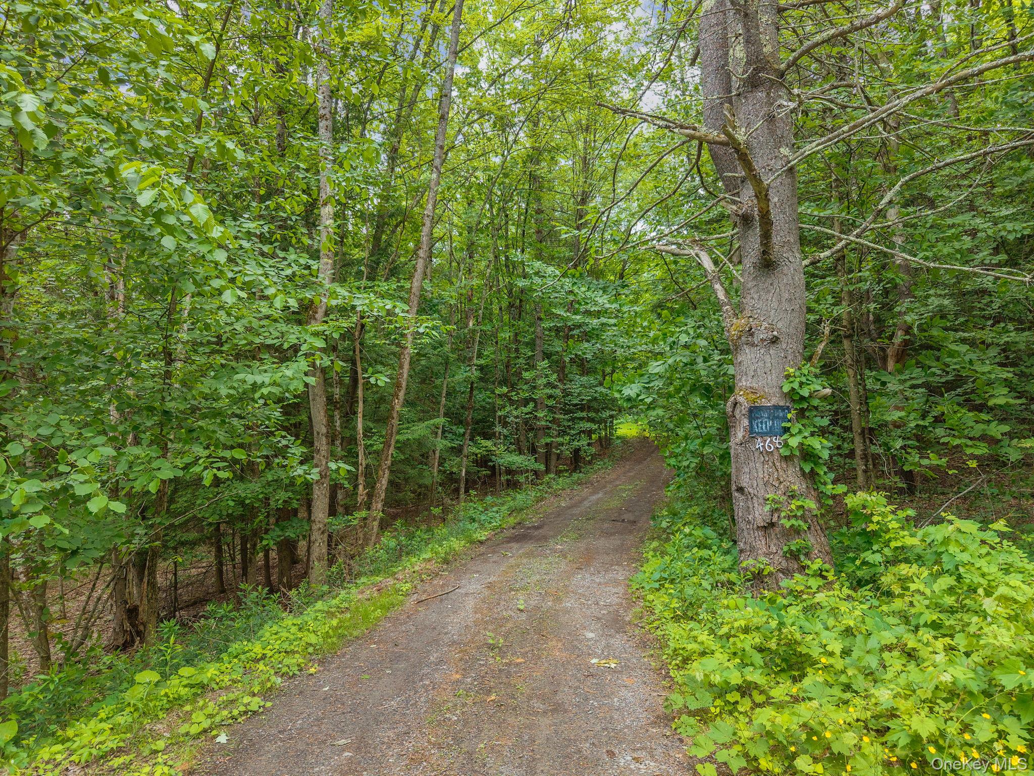 468 Treadlemire Road Berne, NY 12023 - Photo 39 of 44