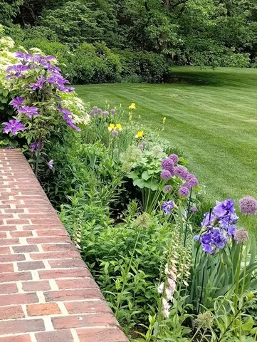 a view of a garden with flowers