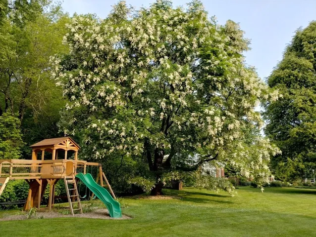 a view of a house with a big yard