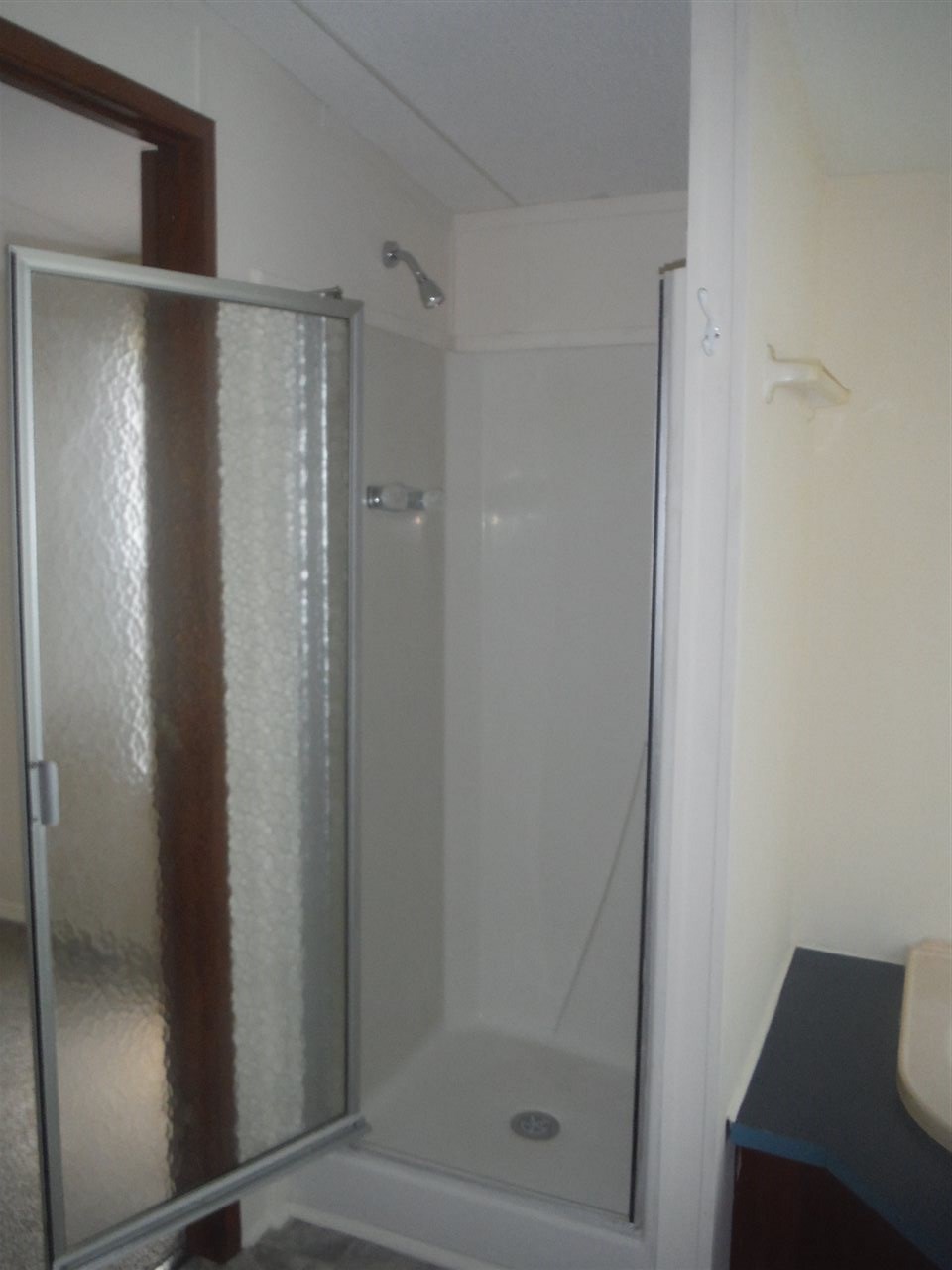 33015 Gilley Road Lillian, AL 36549 - Photo 19 of 44 Shower