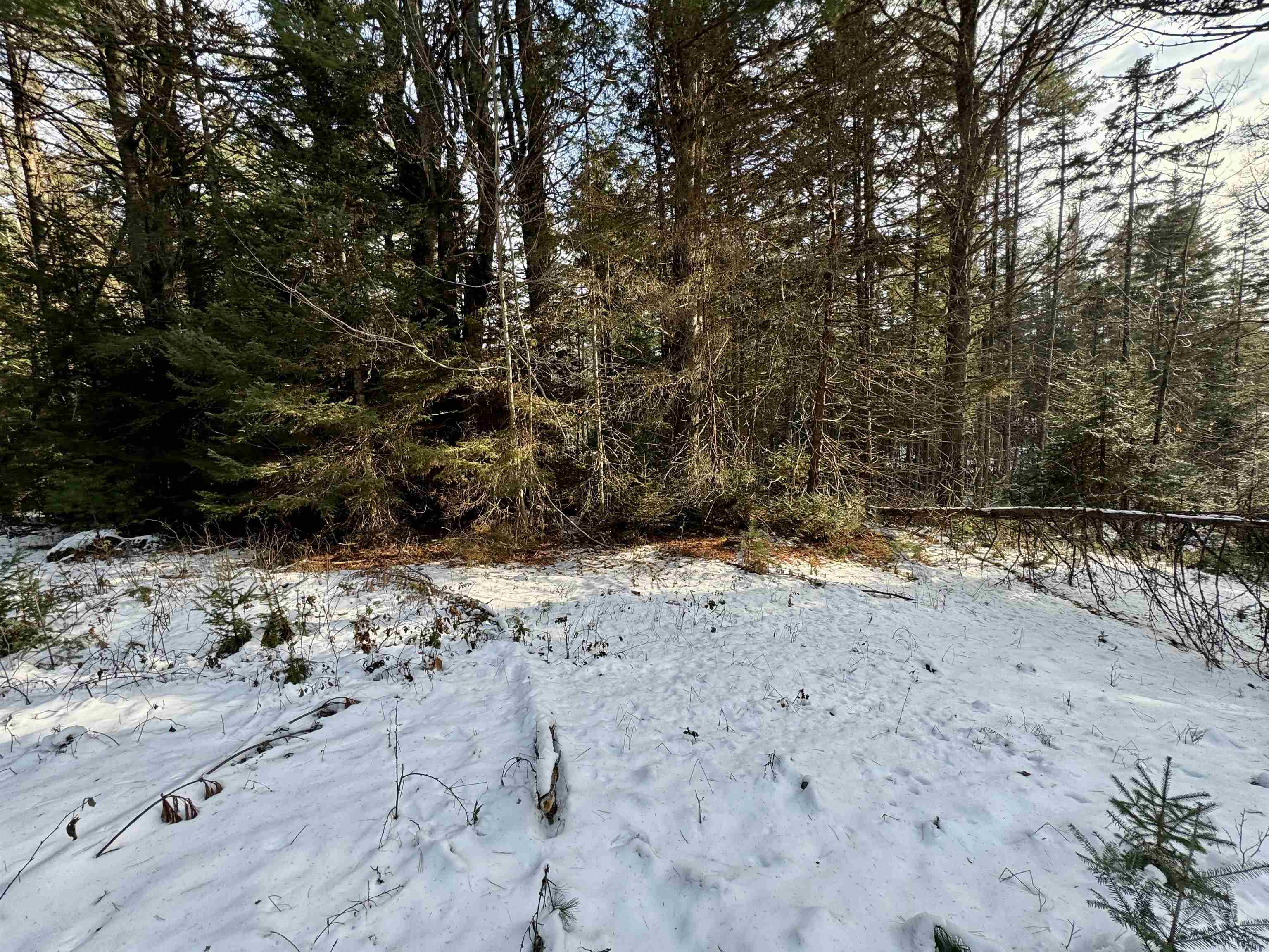 290 White Road Corinth, VT 05039 - Photo 7 of 17 Gallery Image 7
