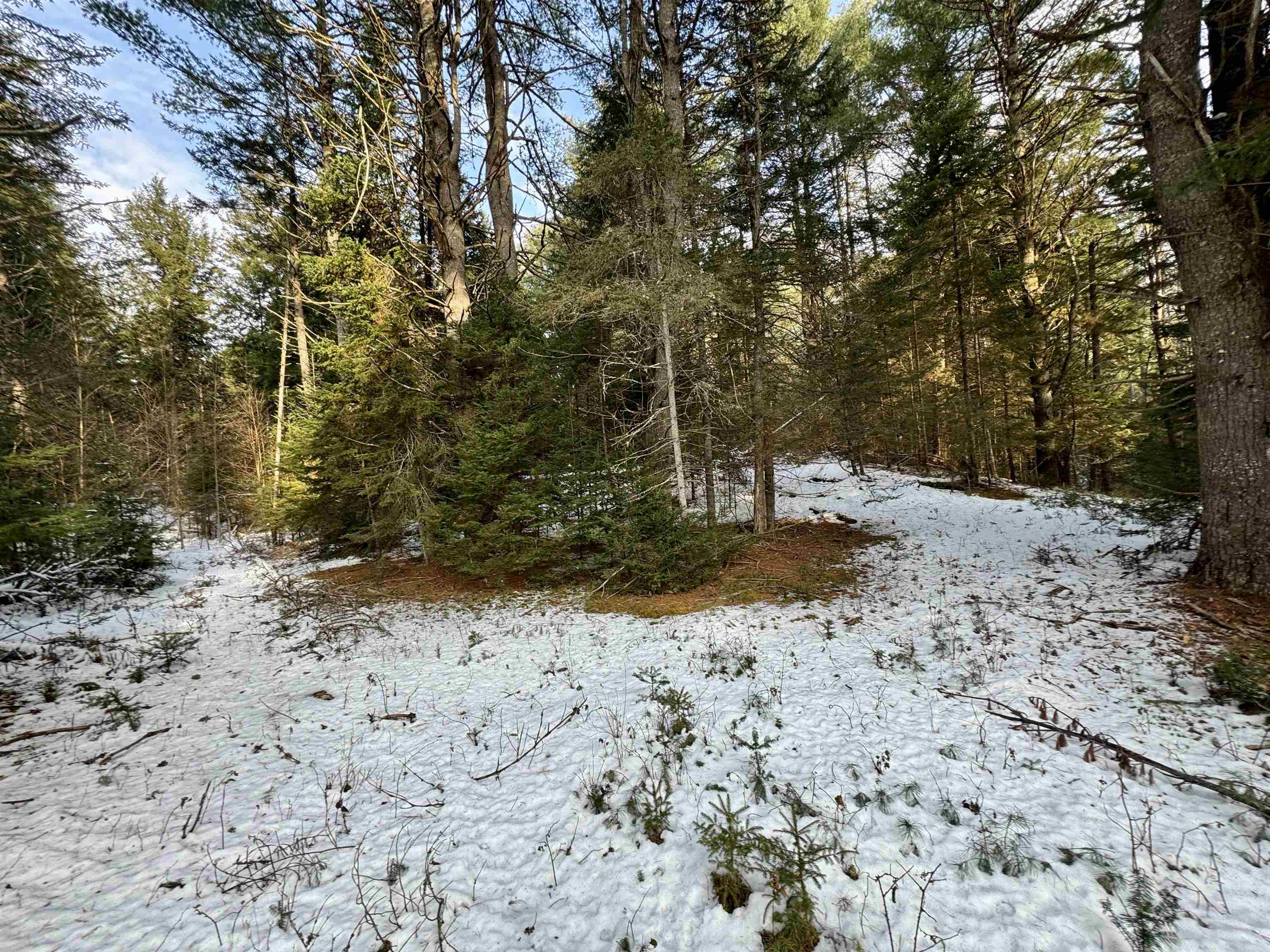 290 White Road Corinth, VT 05039 - Photo 8 of 17 Gallery Image 8