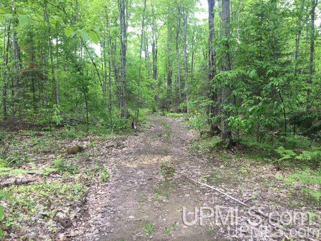 864 Niemi Road Skandia, MI 49885 - Photo 15 of 27