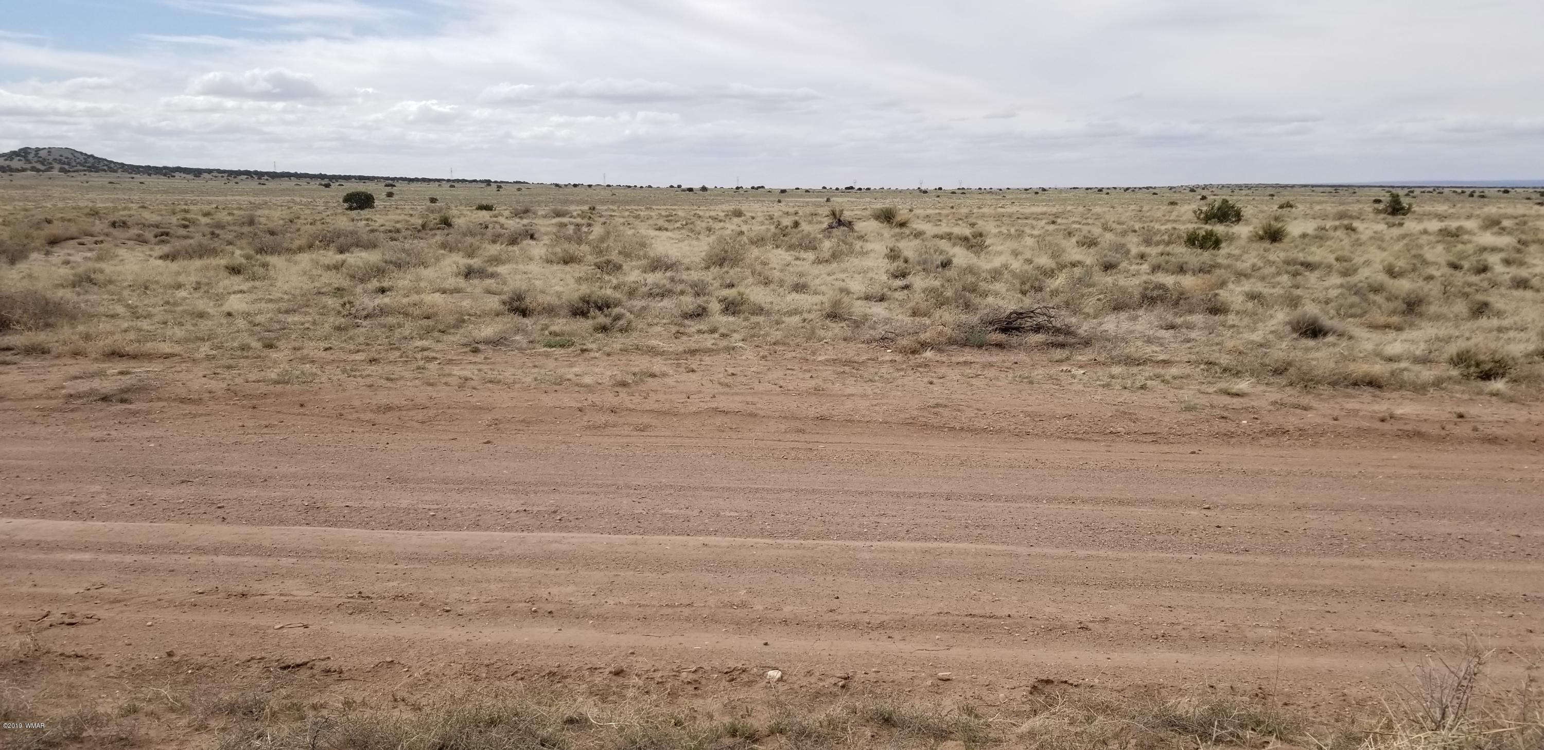St-johns Az 85936 Ranch St. Johns, AZ 85936 - Photo 2 of 6